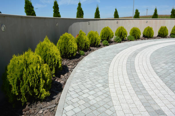 Best Decorative Driveway Pavers  in Lavallette, NJ